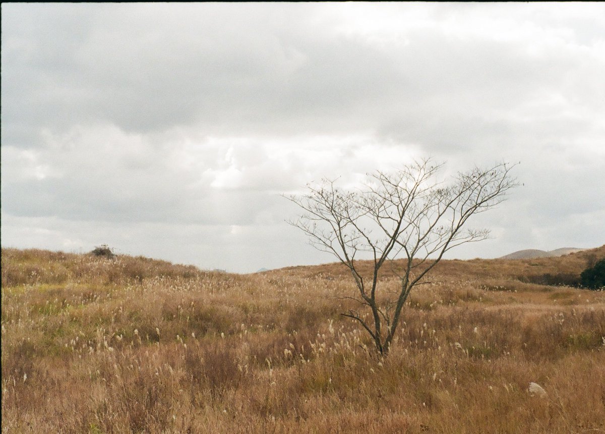 dbdnzh_Y's tweet photo. Let Me In

film photography https://t.co/WNKlwjIXDe