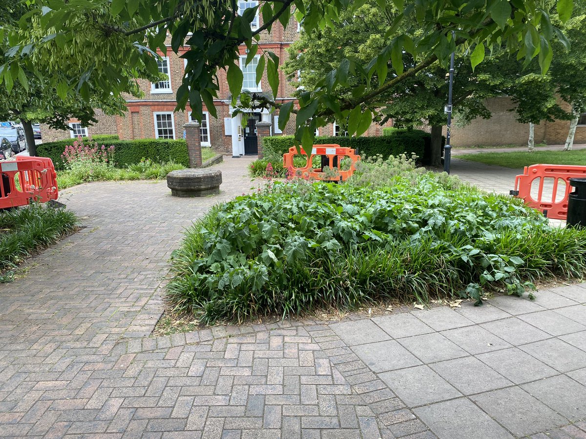Where are the benches outside Elmfield House #Teddington @LBRuT_Help @TeddingtonSoc @TeddingtonNub @ @TLTeddington