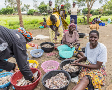 NewSecurityBeat's tweet photo. Out Now | "Gender-Based Violence in Kenya’s Fisheries: Finding Structures and Solutions" 

Check out @MegGatonye's latest #NewSecurityBeat article: https://t.co/f1s9ljE1ut https://t.co/UMrtHuq0nu