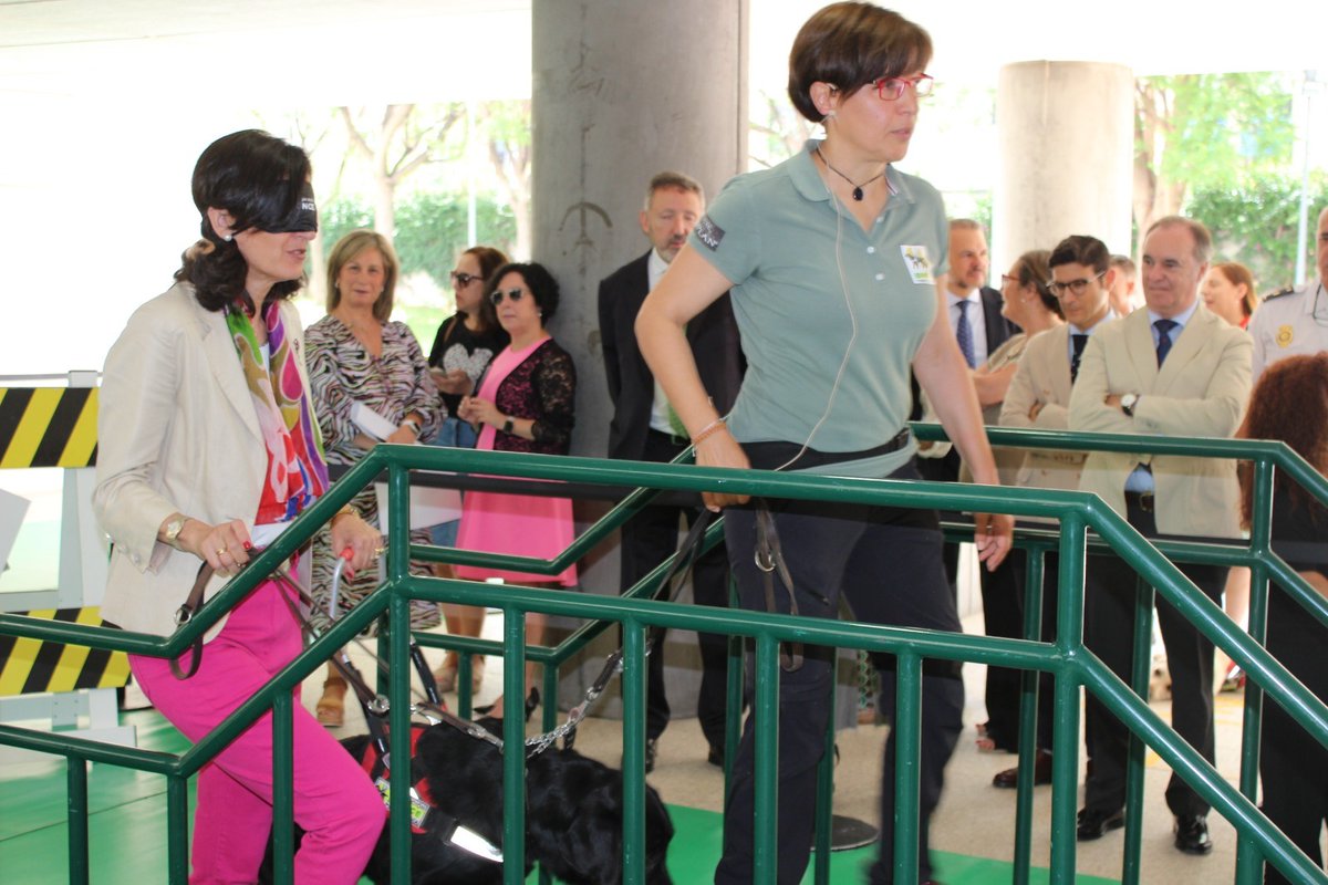 Seviempleo's tweet photo. El Delegado Territorial de @EmpleoJunta @AAGustinV asiste a la Inauguración de la Semana del Grupo Social @ONCE_oficial en Andalucía
Una exhibición de perros guía ha mostrado la importancia que tienen para la #movilidad, autonomía y #seguridad de las personas ciegas
#IntegraSE https://t.co/qepOtmzxac