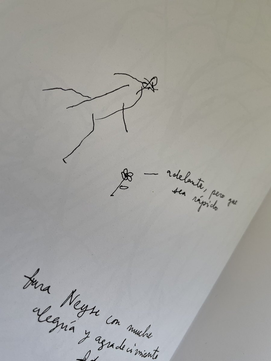 neyse cunha lima tweet media