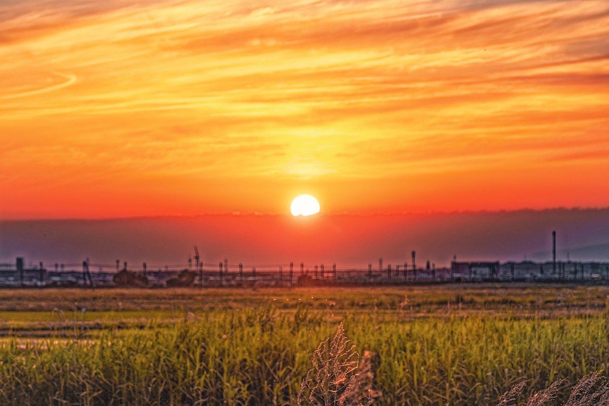 住んでいる街に沈んでいく夕陽の光に(*´꒳`*)何だか見入ってしまったにゃあ♪夕暮れ夕焼け夕陽夕景＃沈む夕陽