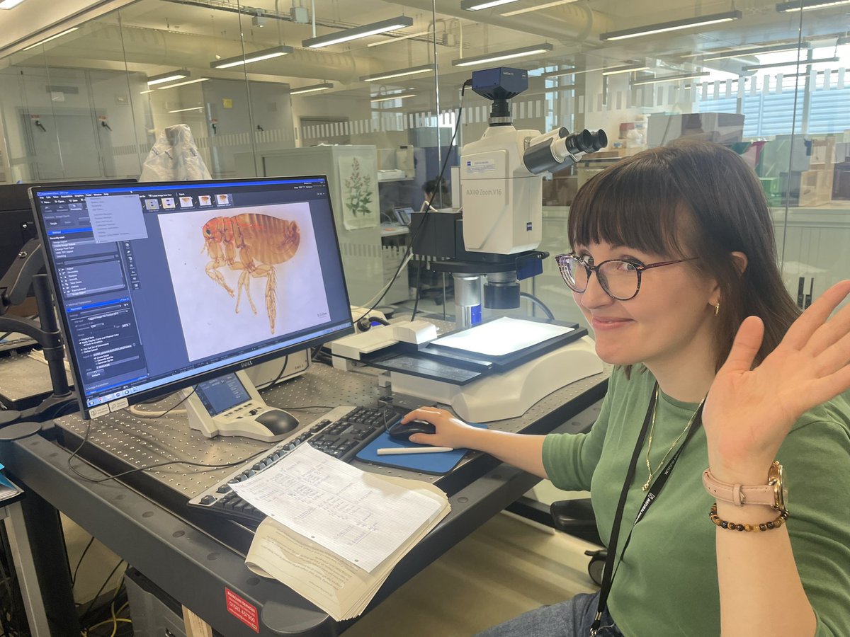 NHM_Fleas tweet media