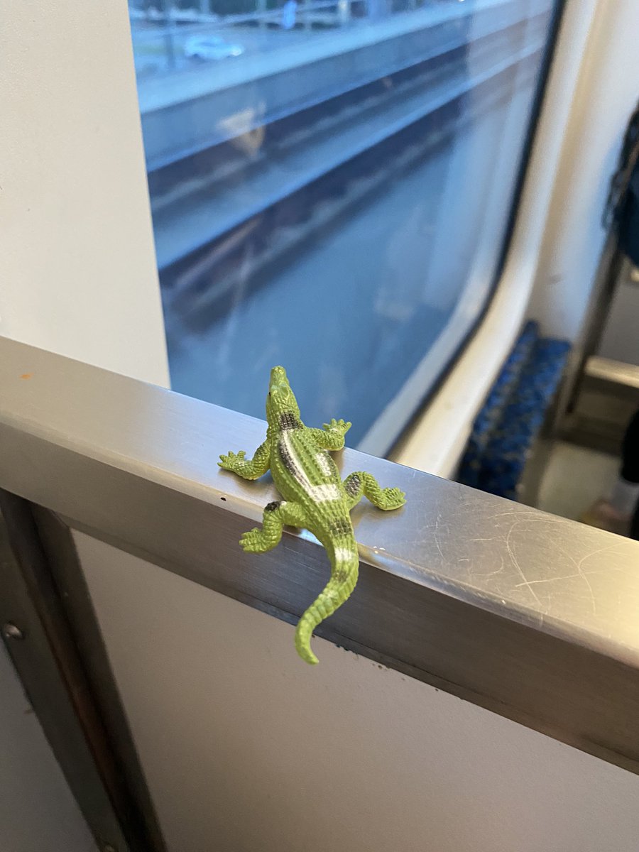 Davis Elem. Library tweet media