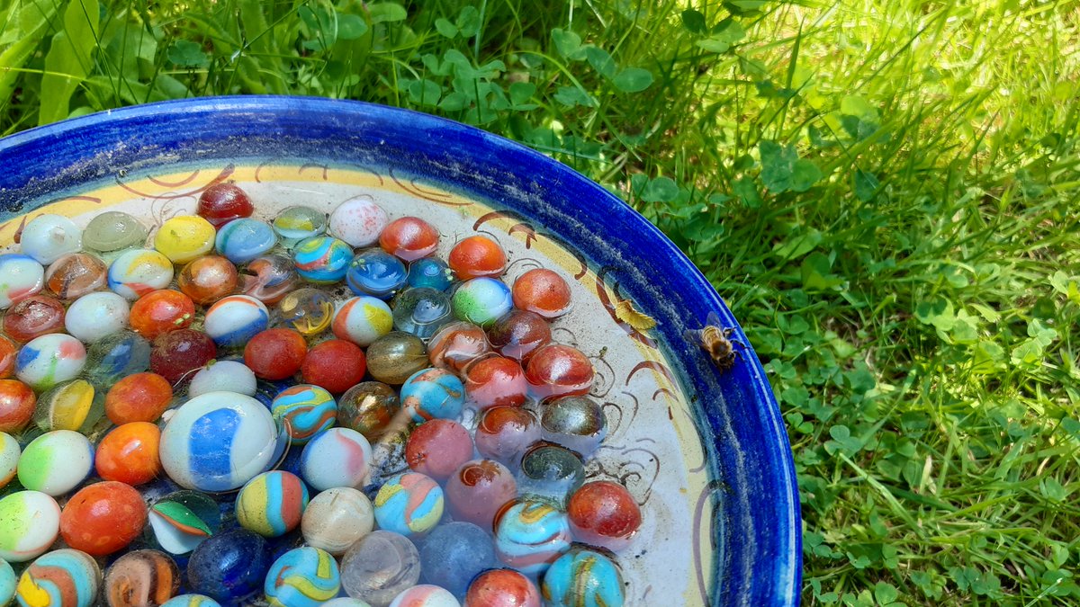 Oscar, Sunny&Barney 🐈🐈 tweet media