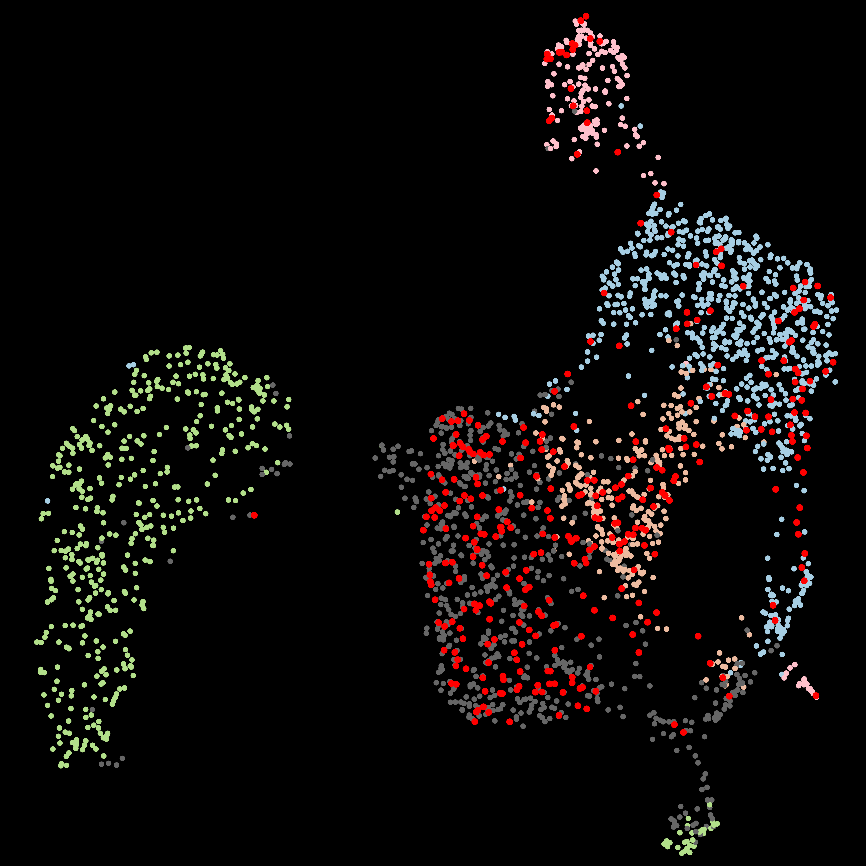 CRCT-Oncopole (@crctoncopole) on Twitter photo The power of the intestine against metastases - new article from <a href="/TeamT2i/">AYYOUB LAB</a> <a href="/crctoncopole/">CRCT-Oncopole</a> published in <a href="/SciImmunology/">Science Immunology</a>
➡️crct-inserm.fr/en/the-power-o… The power of the intestine against metastases - new article from <a href="/TeamT2i/">AYYOUB LAB</a> <a href="/crctoncopole/">CRCT-Oncopole</a> published in <a href="/SciImmunology/">Science Immunology</a>
➡️crct-inserm.fr/en/the-power-o…