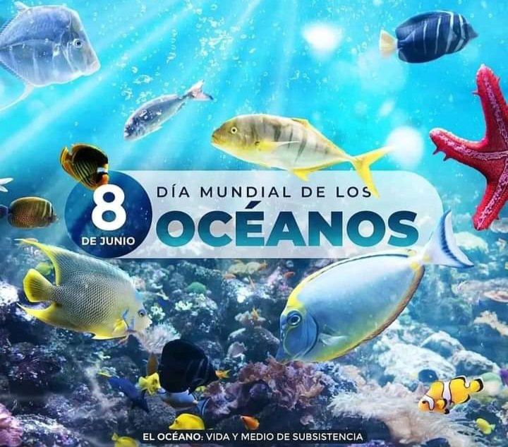 Hoy es el Día Mundial de los Océanos y es importante recordar que nuestra salud y la del planeta dependen de ellos. ¡Hagamos nuestra parte para protegerlos y preservar la vida marina! 🌊🐟 #DíaMundialDeLosOcéanos #UnaSolaTierra 
#SinContamimacionPorPlasticos