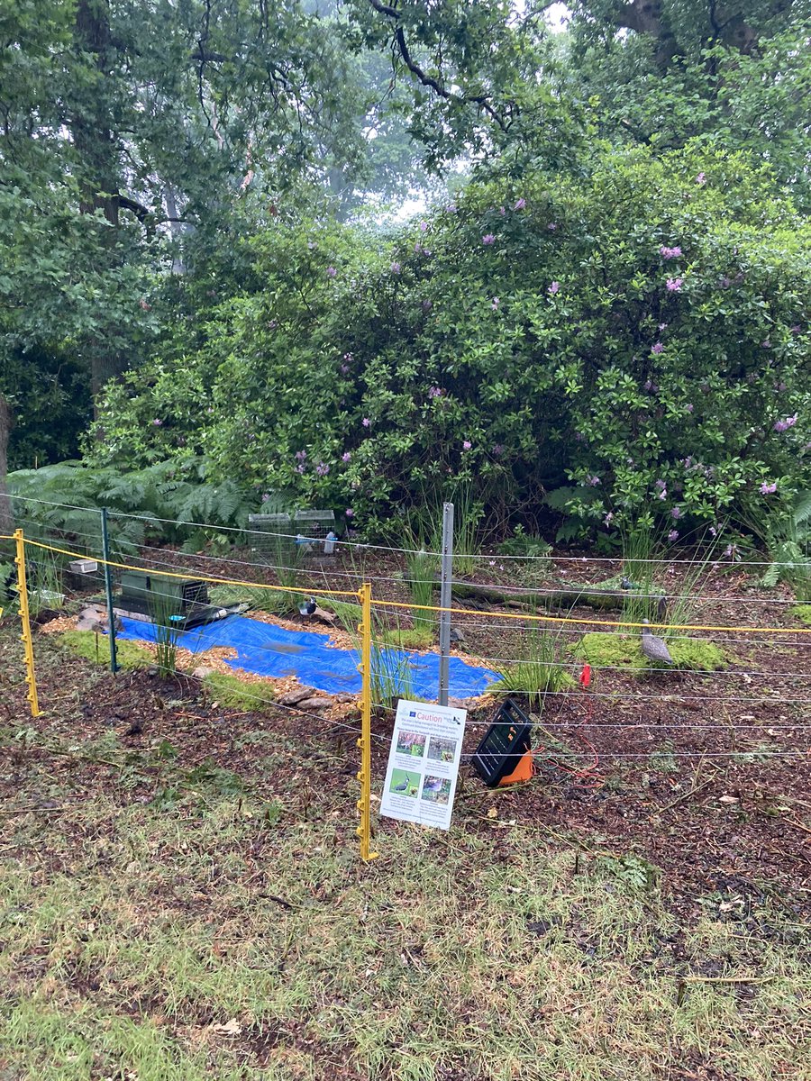 It was a bit of a soggy start but it was a great day at open farm Sunday yesterday, we spoke to so many people about wader #conservation, predator management and #farming. The kids loved having a go at looking for lapwing in the hide! #LOFS23