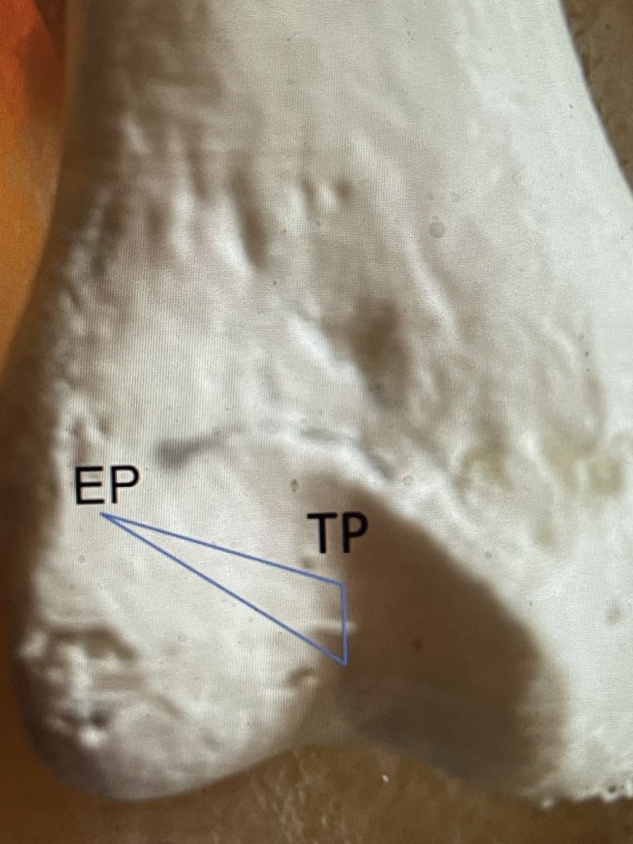 John Fulkerson tweet media