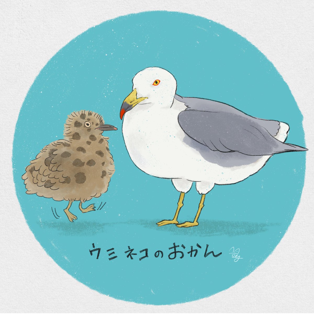 子育て中のウミネコの母、我が子に手をだすなと睨みをきかせた顔がたまらなくオカンです☺️そしてヒナのブチブチ模様がかわいすぎる（写真は父撮影📷） https://t.co/VlwACGVFVT