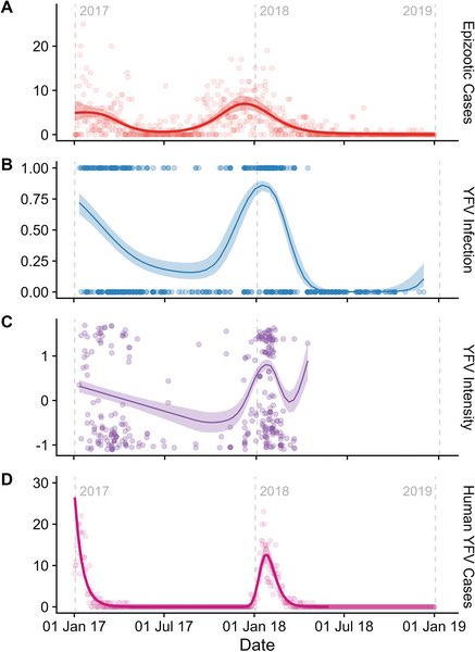 Colin Carlson (@colinjcarlson) on Twitter photo Where does yellow fever go between epidemics? Cool new study from <a href="/drumond_betania/">Betania Drumond</a>’s group and <a href="/Gfalbery/">Greg Albery</a> looking at how YFV retreats into its sylvatic cycle, including evidence for viremia-mediated dynamics that facilitate persistence at low levels journals.plos.org/plosntds/artic… Where does yellow fever go between epidemics? Cool new study from <a href="/drumond_betania/">Betania Drumond</a>’s group and <a href="/Gfalbery/">Greg Albery</a> looking at how YFV retreats into its sylvatic cycle, including evidence for viremia-mediated dynamics that facilitate persistence at low levels journals.plos.org/plosntds/artic…