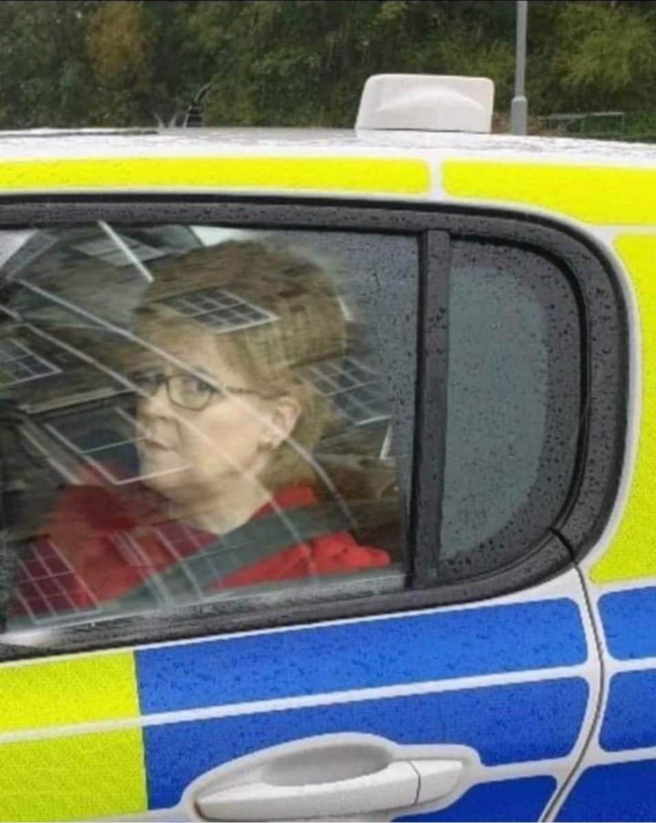 StuMac40's tweet photo. Honest guv, it wisnae me ... I don't recall....🤣🤣 https://t.co/yjY0NMQGiL