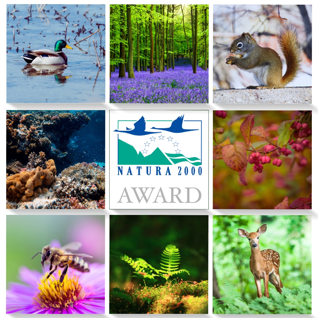 The search is on for the next winners of the #Natura2000Award.🏆

If you know in your ❤️ that your #LIFEproject deserves to win, then go for it!💪

You have until September 29 to submit your entry.

Keep your 👀 on the prize & apply now.👇

europa.eu/!3m3Jxp