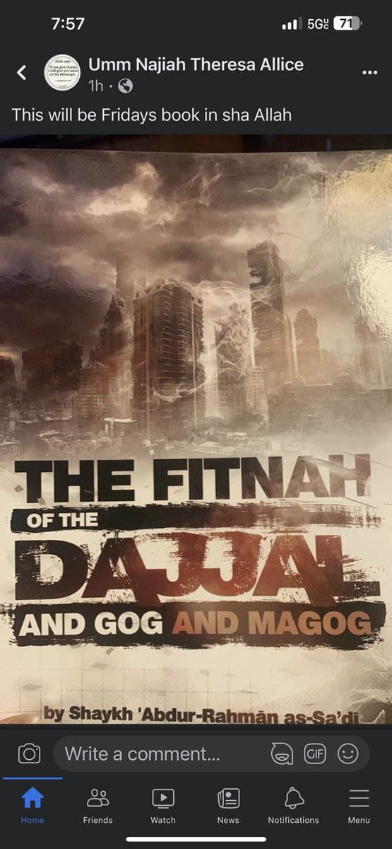 maynmasoudummi_ tweet media