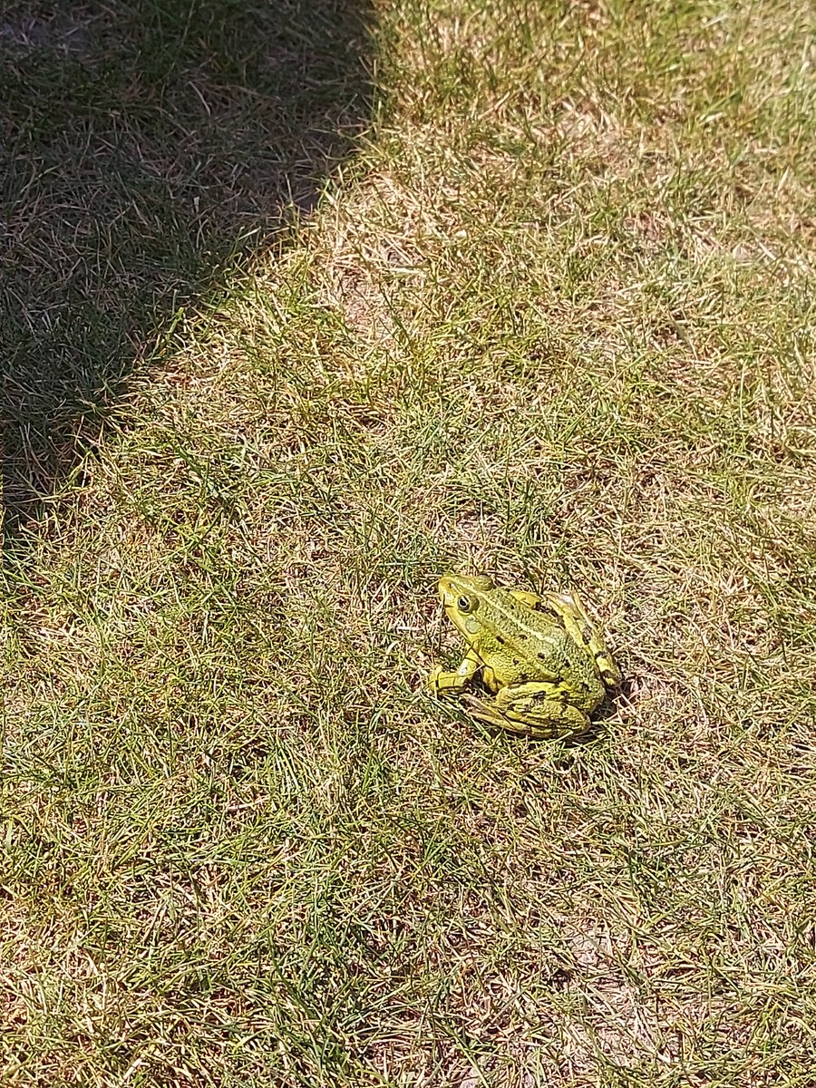 Inge ✍ tweet media