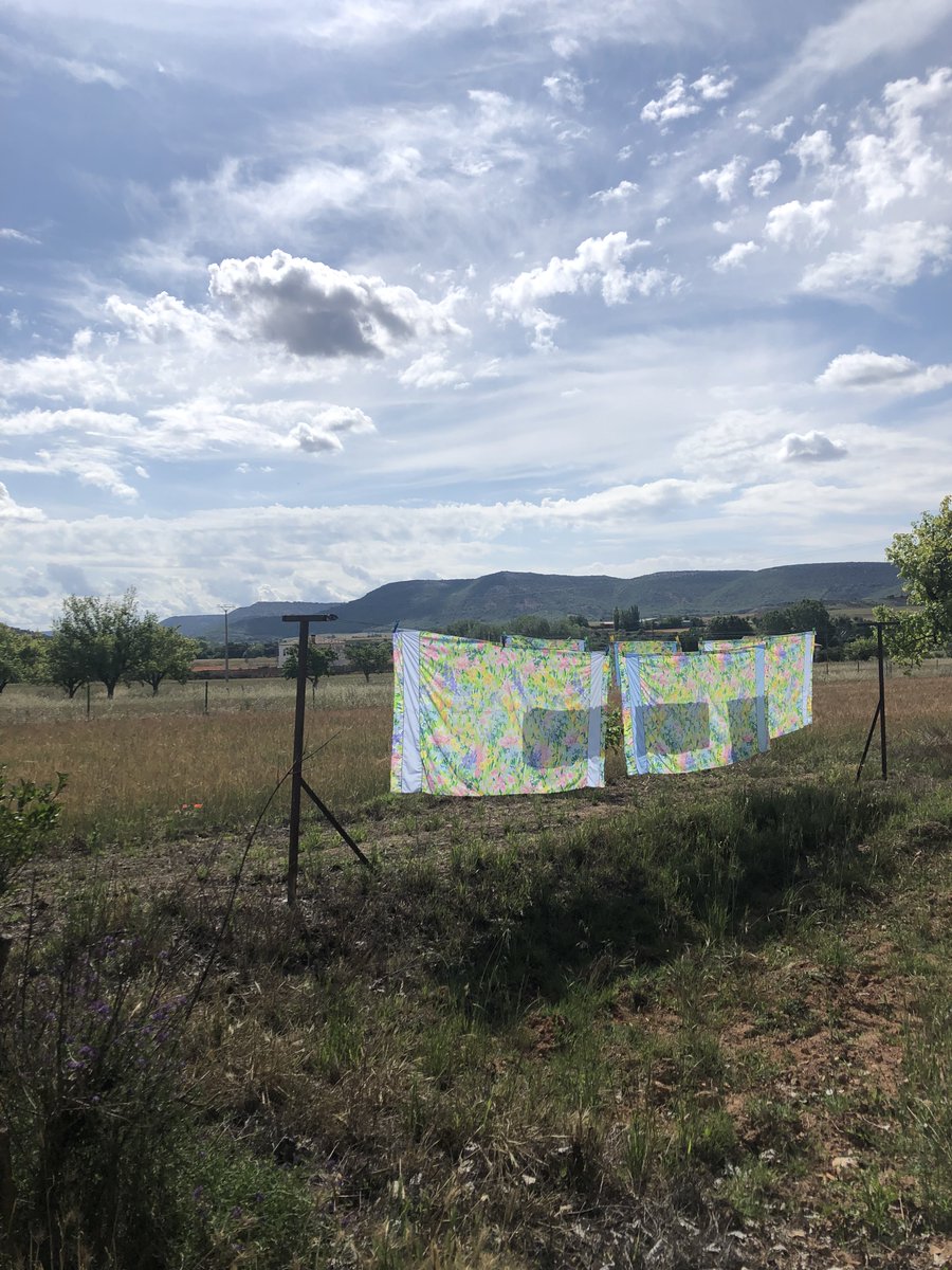 silviamcano's tweet photo. La vida se renueva cada día. Siempre hay luz después de la oscuridad... #Sigüenza #Matillas #Alcarria https://t.co/lqVzYBttSb