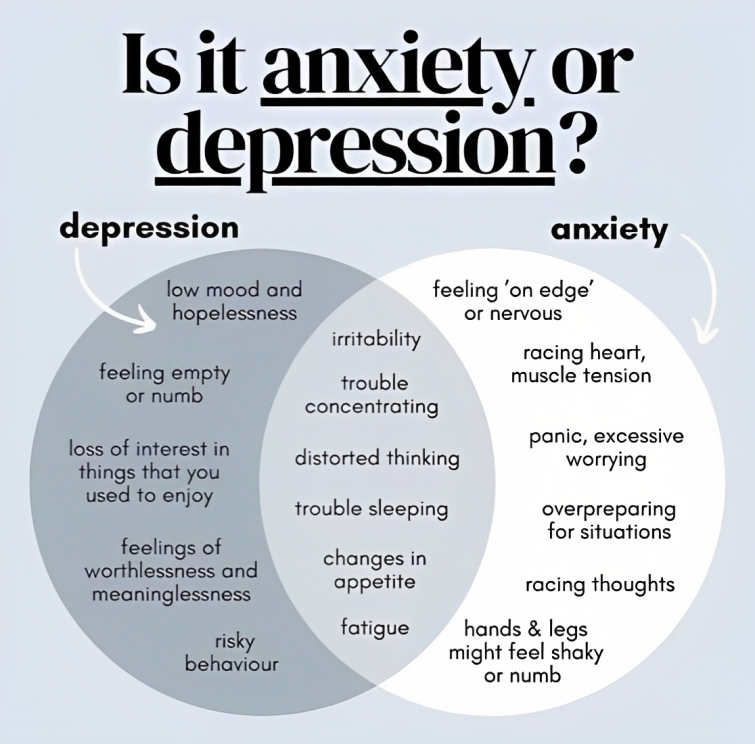 POV : You have both!!

#anxiety #depressionawareness #mentalhealthawareness #highfunctioninganxiety #anxietytherapy #mentalhealthsupport #mindhelp