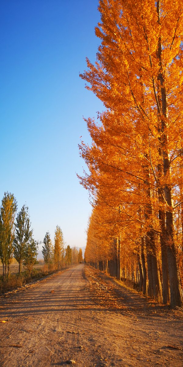 Without saliva and sweat, there are no tears of success.