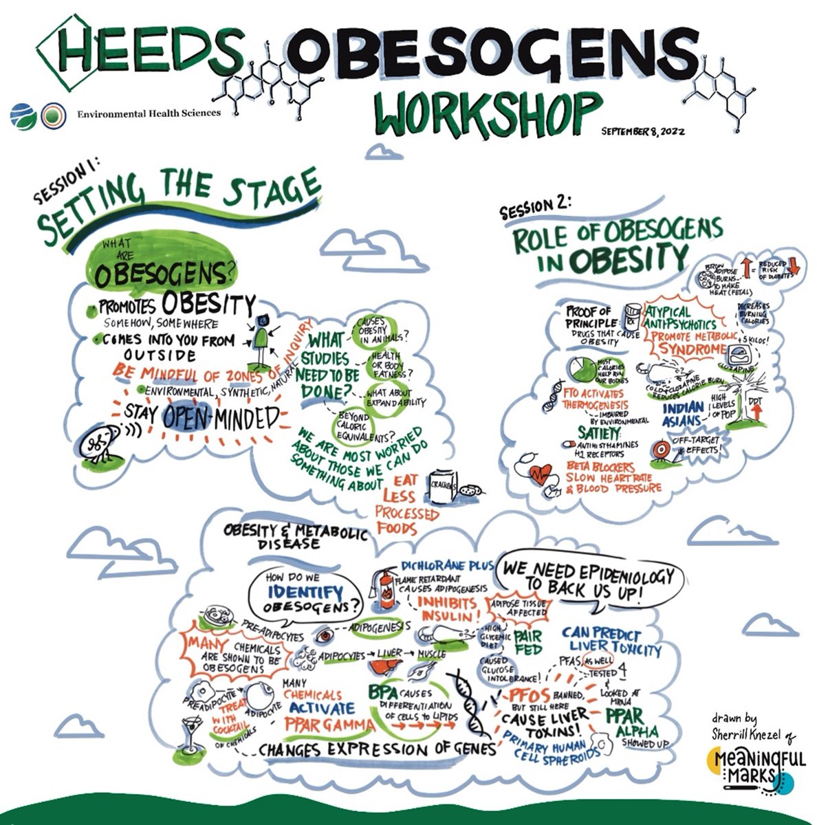 HEEDSorg's tweet photo. The report from the workshop we hosted on #obesogens was published! Free access until July 30 at this link: https://t.co/3UK4kzmpxE https://t.co/JqU1bn1QPc