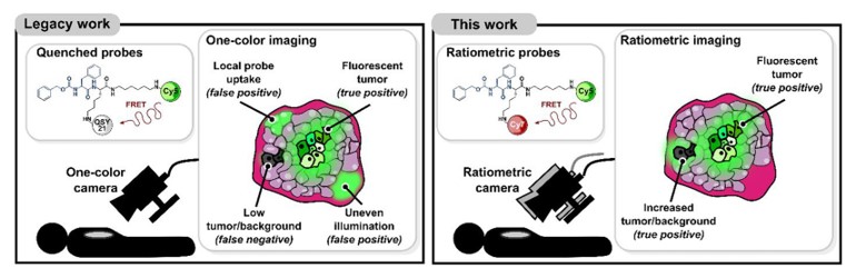 ACS Central Science (@acscentsci) on Twitter photo <a href="/mbogyo/">Matthew Bogyo</a>, @__mguerra__ & co-workers introduce probes and a camera system that enable real-time ratiometric imaging of solid tumors in an intraoperative setting to overcome limitations of previous one dye systems.
NEW #ASAP. Read it here: go.acs.org/5a5 <a href="/mbogyo/">Matthew Bogyo</a>, @__mguerra__ & co-workers introduce probes and a camera system that enable real-time ratiometric imaging of solid tumors in an intraoperative setting to overcome limitations of previous one dye systems.
NEW #ASAP. Read it here: go.acs.org/5a5