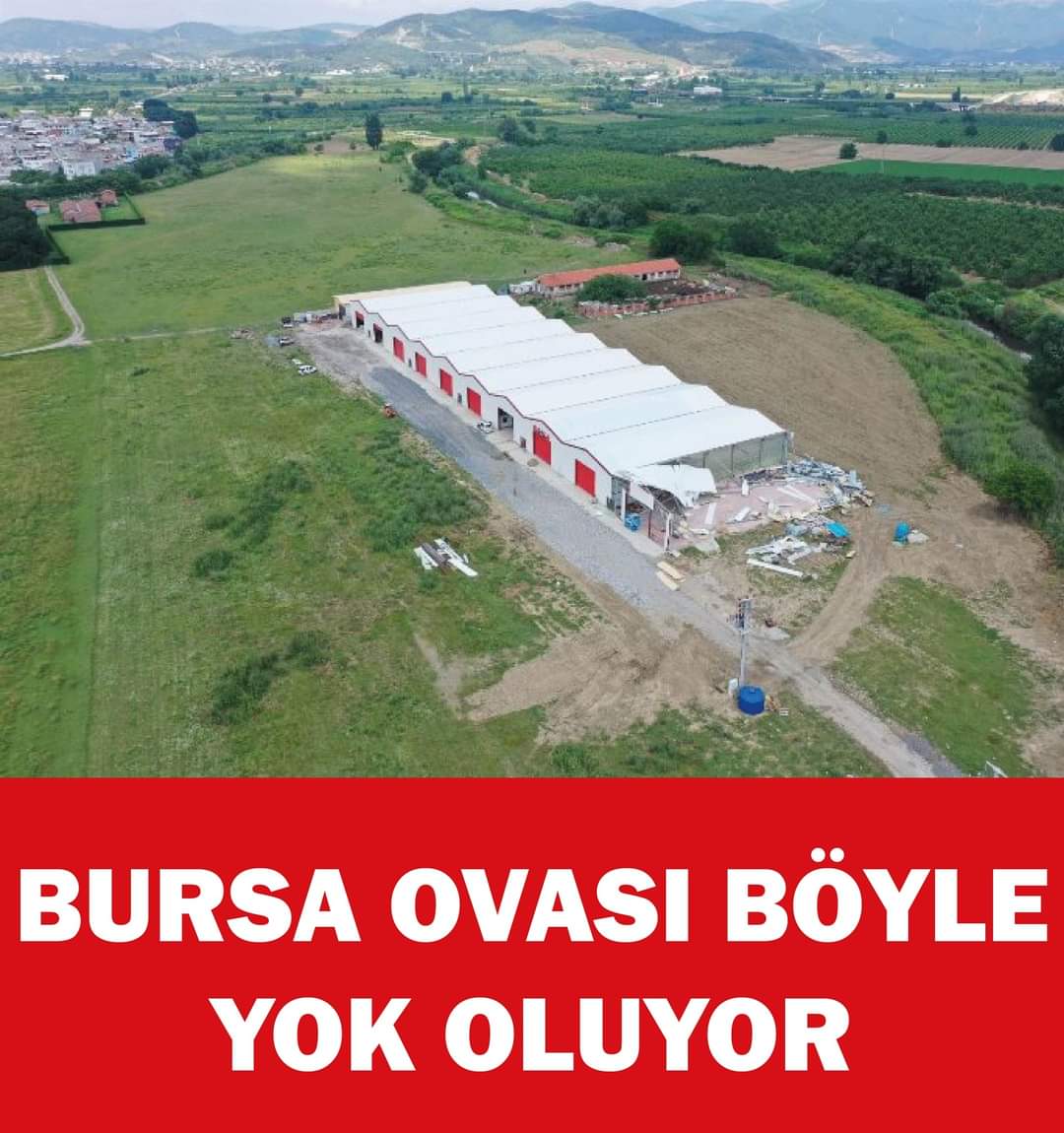 Bursa’nın verimli tarım arazilerini yok eden kaçak yapılaşma; yasalara ve deprem gerçeğine rağmen bir türlü durdurulamıyor. Bursa'nın verimli toprakları her geçen gün kaybedilirken, mantar gibi fabrika ve depo binaları yükselmeye devam ediyor.