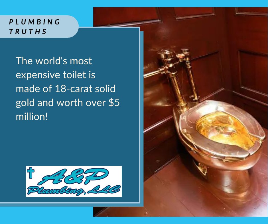 Applumbingpros's tweet image. #PlumbingFacts, #LuxuryLiving, #GoldToilet