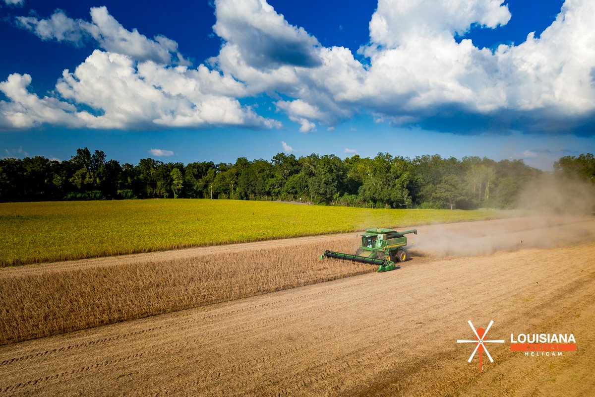 Soybean Harvest | Avoyelles Parish, LA

#soybeans #harvest #combine #farming #johndeere #johndeere9650 #louisianahelicam #dronephoto