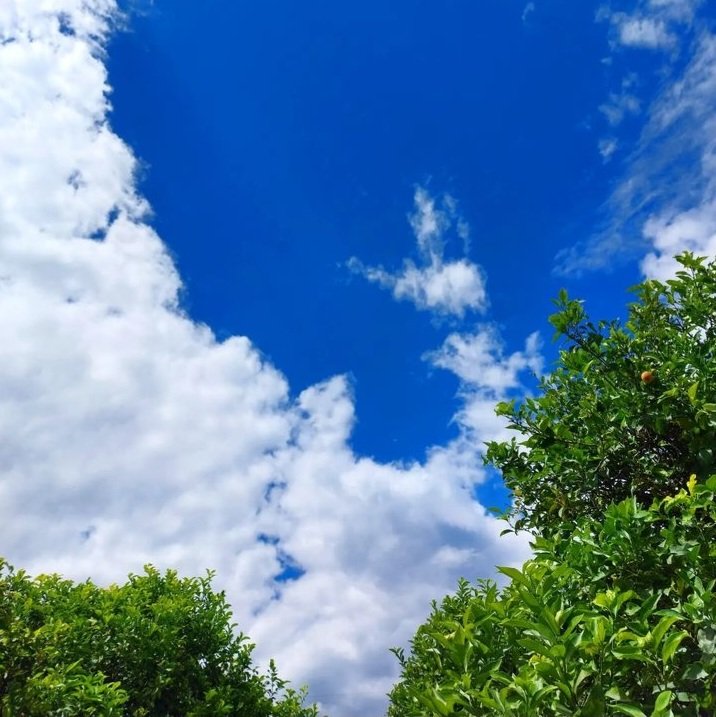 O kadar birikmiş cümleler var ki insanın heybesinde, beyanın takât yetmiyor .

#kadrajturkiye #keşfetteyiz #gökyüzüu #bulut