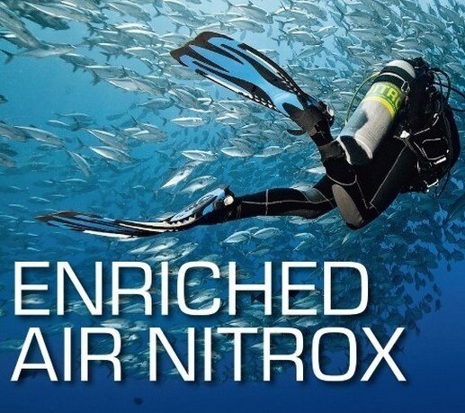 neeldiving's tweet photo. PADI NITROX / ENRICHED AIR DIVER Course in INDIA.

Learn PADI ENRICH ..For more info visit...https://t.co/TcP0sRFog6 https://t.co/flpNPdxOJP