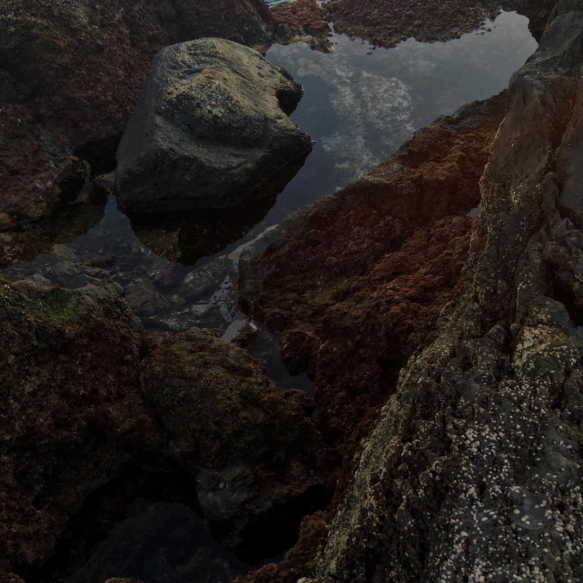 So excited to share new music with you very soon! A year and a half after the first idea, which was born from some underwater coral reef recordings, and after two residency periods at <a href="/EMS_Stockholm/">EMS</a>, Time Piece will be released via <a href="/longform_ed/">Longform Editions</a> on June 14 🌊

#experimentalmusic