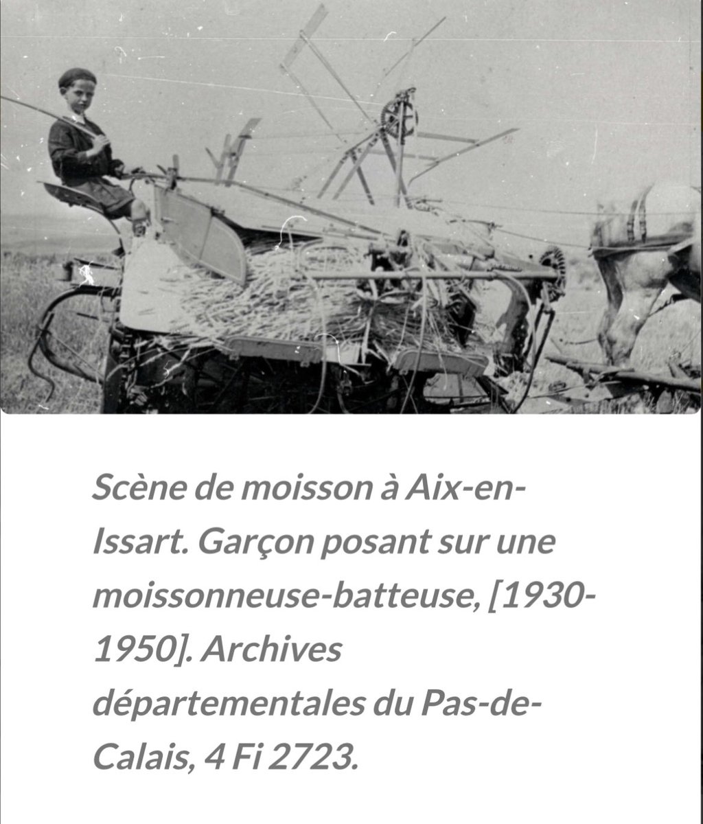 sylvie lefebvre tweet media