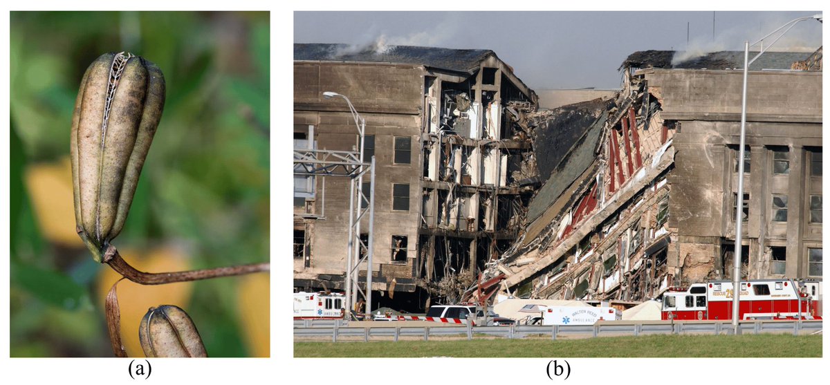 Biomim_MDPI's tweet image. #RecommendedPaper
Design for Robustness: Bio-Inspired Perspectives in Structural Engineering by Foad Kiakojouri, et. al. @PoliTOnews
➡️Read the full paper here: mdpi.com/2313-7673/8/1/…
✔️#StructuralRobustness; #LocalDamage; #complexity; #compartmentalization; #BioInspiration