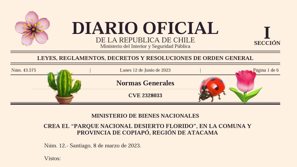 criordor's tweet photo. 🌼 El Parque Nacional Desierto Florido ya es oficial. Una gran noticia que reconoce el valor patrimonial y natural del Desierto de Atacama 💕 https://t.co/SPtLNfdOM0