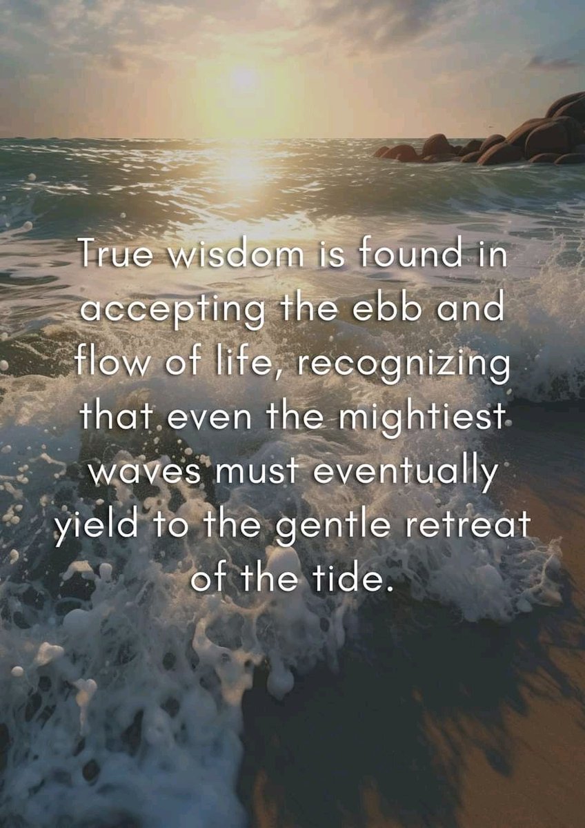 Rather than resisting the tides, learn to flow with them, adapting your mindset and actions to align with the ever-changing circumstances. #LifesLessons