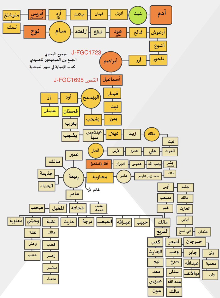 JFGC1695's tweet photo. رأيت هذي المشجرة الجميلة تجمع التقاء قحطان وعدنان في إسماعيل 

السؤال هل قحطان (وعدنان FGC705) سيلتقيان بجدهم اسماعيل FGC1695 مباشرة او سيلتقيان بالهميسع حفيده سوف نكتشف هذا الموروث بتقنية T2T ونحن متحمسون جدًا لها 
حفظكم الله يابني إسماعيل رانا خوت

#النبي_اسماعيل_FGC1695 https://t.co/S6j11ysrUB