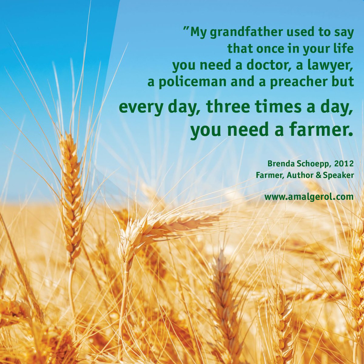 🌾 Happy World Agriculture Day -
Everything is based on agriculture! 

"My grandfather used to say that once in your life you need a doctor, a lawyer, a policeman and a preacher but every day, three times a day, you need a farmer.” 
#WorldAgricultureDay #brendaschoepp #amalgerol