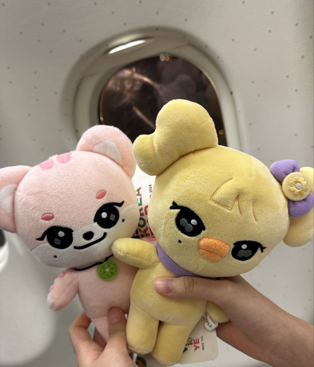 พี่โยหนูอีส💛🩷