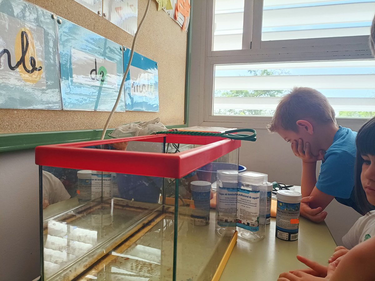 Escola Pit-Roig tweet media
