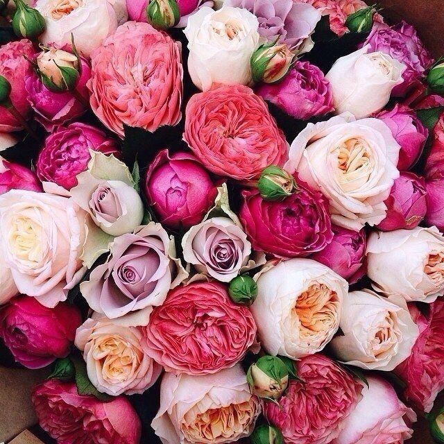 Aseelaa135's tweet photo. ﴿ وَرَحمَتي وَسِعَت كُلَّ شَيء﴾🌷 https://t.co/FuGOqSaAQl