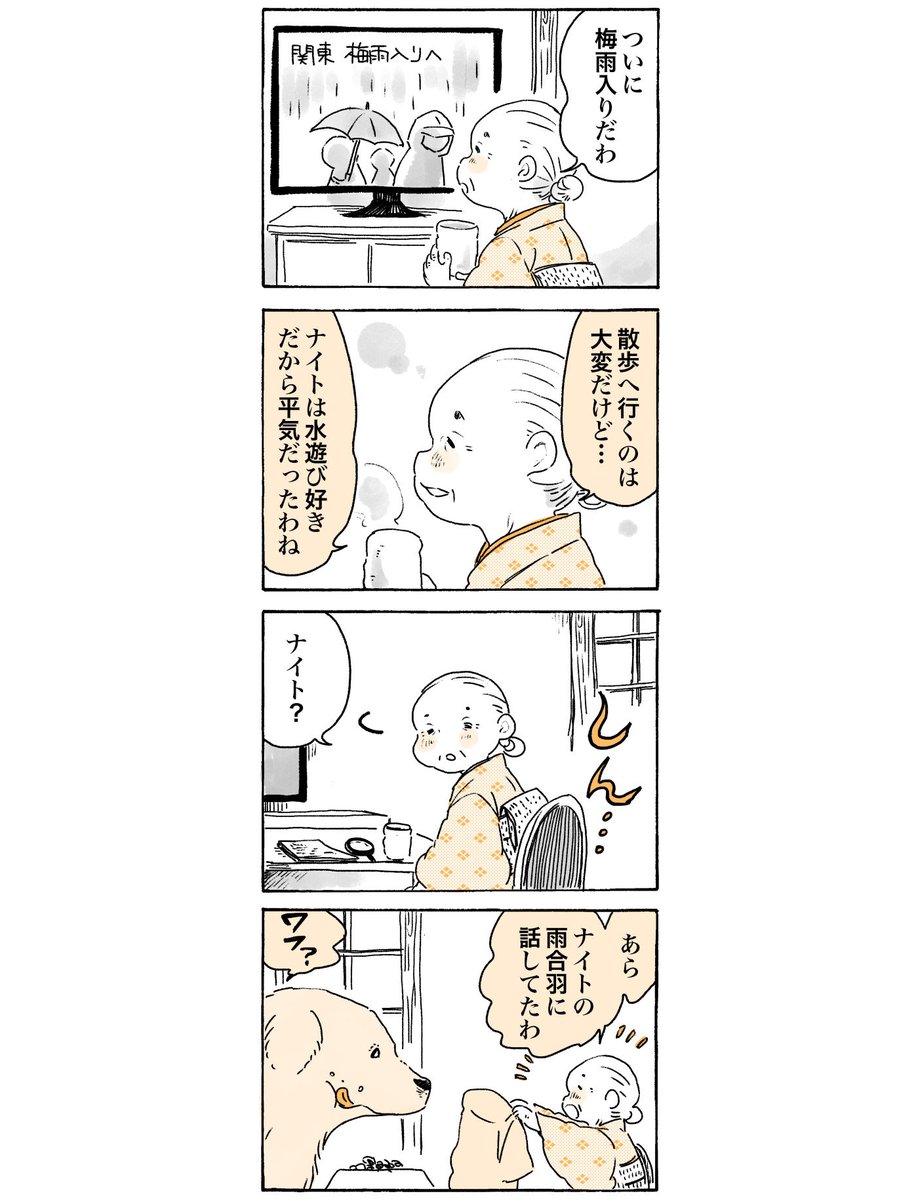 (再掲)梅雨でもワフワフ☔️  #姫ばあちゃんとナイト (単行本発売中!)