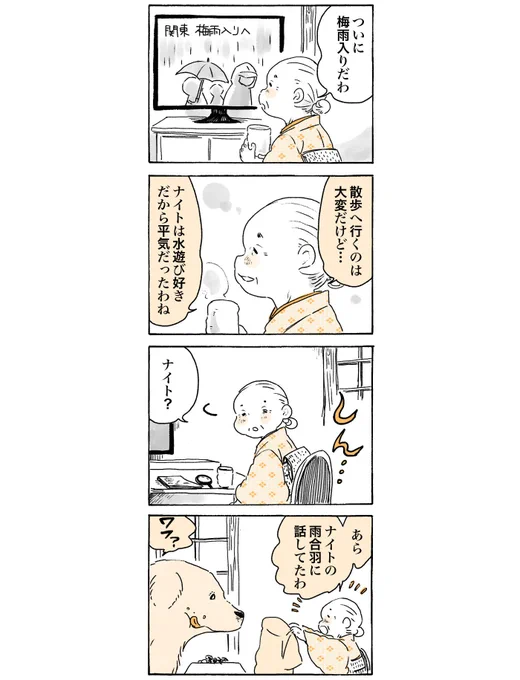 (再掲)梅雨でもワフワフ☔️  #姫ばあちゃんとナイト (単行本発売中!)