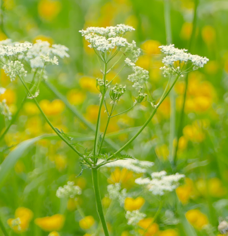 Good morning ☕️☀️