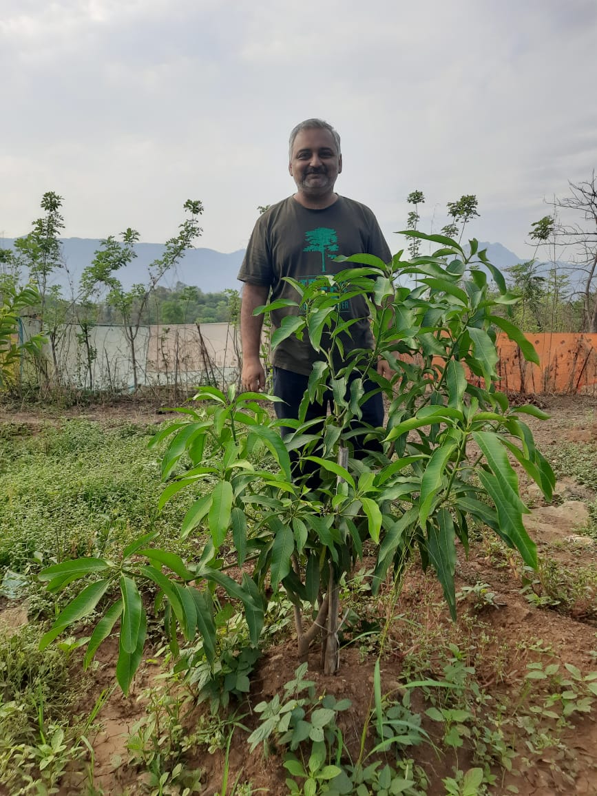 Subhajit's tweet photo. #missionmango will transform the way we look at agriculture and is a guarantee of our food security. https://t.co/yZ82nY8rG4