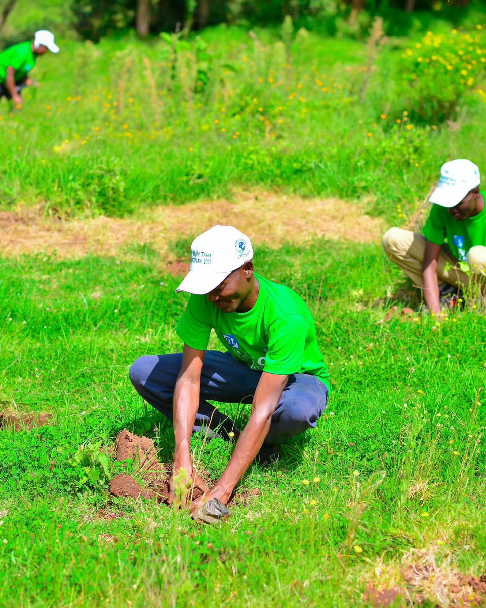 yfga_kenya's tweet photo. @yfga_kenya mobilized over 300  volunteers to help plant 100,000 selected tree species in Mau Forest.  Fast Facts: 
1. 100,000 trees planted
2. Over 300 volunteers involved 
3. Project done in 5 days. 
#futureinamilliontrees #15BillionTrees #jazamiti #gitmea #yfgak #treeplanting https://t.co/nxOhOd6t7q