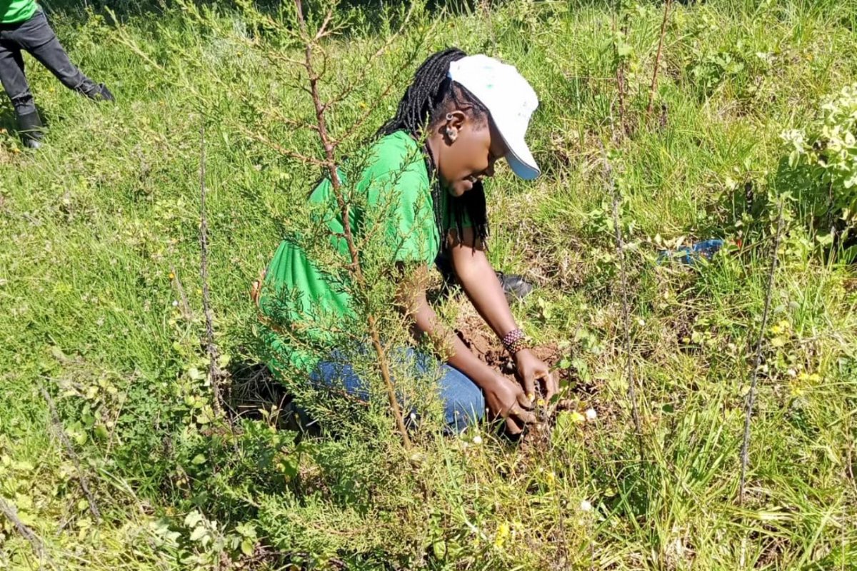 yfga_kenya's tweet photo. @yfga_kenya mobilized over 300  volunteers to help plant 100,000 selected tree species in Mau Forest.  Fast Facts: 
1. 100,000 trees planted
2. Over 300 volunteers involved 
3. Project done in 5 days. 
#futureinamilliontrees #15BillionTrees #jazamiti #gitmea #yfgak #treeplanting https://t.co/nxOhOd6t7q