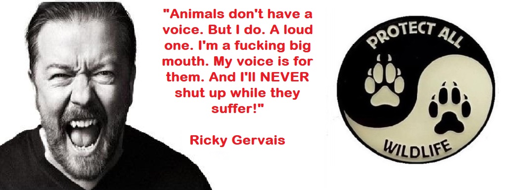 AMAZ1NG_NATURE's tweet photo. An announcement from @RickyGervais.

""Animals don't have a voice. But I do. A loud one. I'm a f***ing big mouth. My voice is for them. And I'll NEVER shut up while they suffer!"

Use YOUR voice for animals with a Protect All Wildlife  badge available at https://t.co/vvwXTZtwjY.