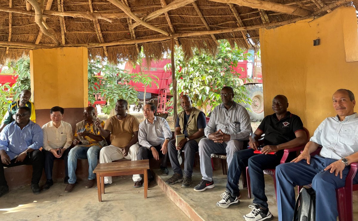 FAOVietNam's tweet image. Sierra Leone, FAO and Viet Nam 🇻🇳 signed a South-South and Triangular Cooperation #SSTC agreement on developing the rice sector. Read more
👉bit.ly/3P3oJ6R
The delegation of MARD visited and worked on project document in Sierra Leone from February 2023
#SSC
