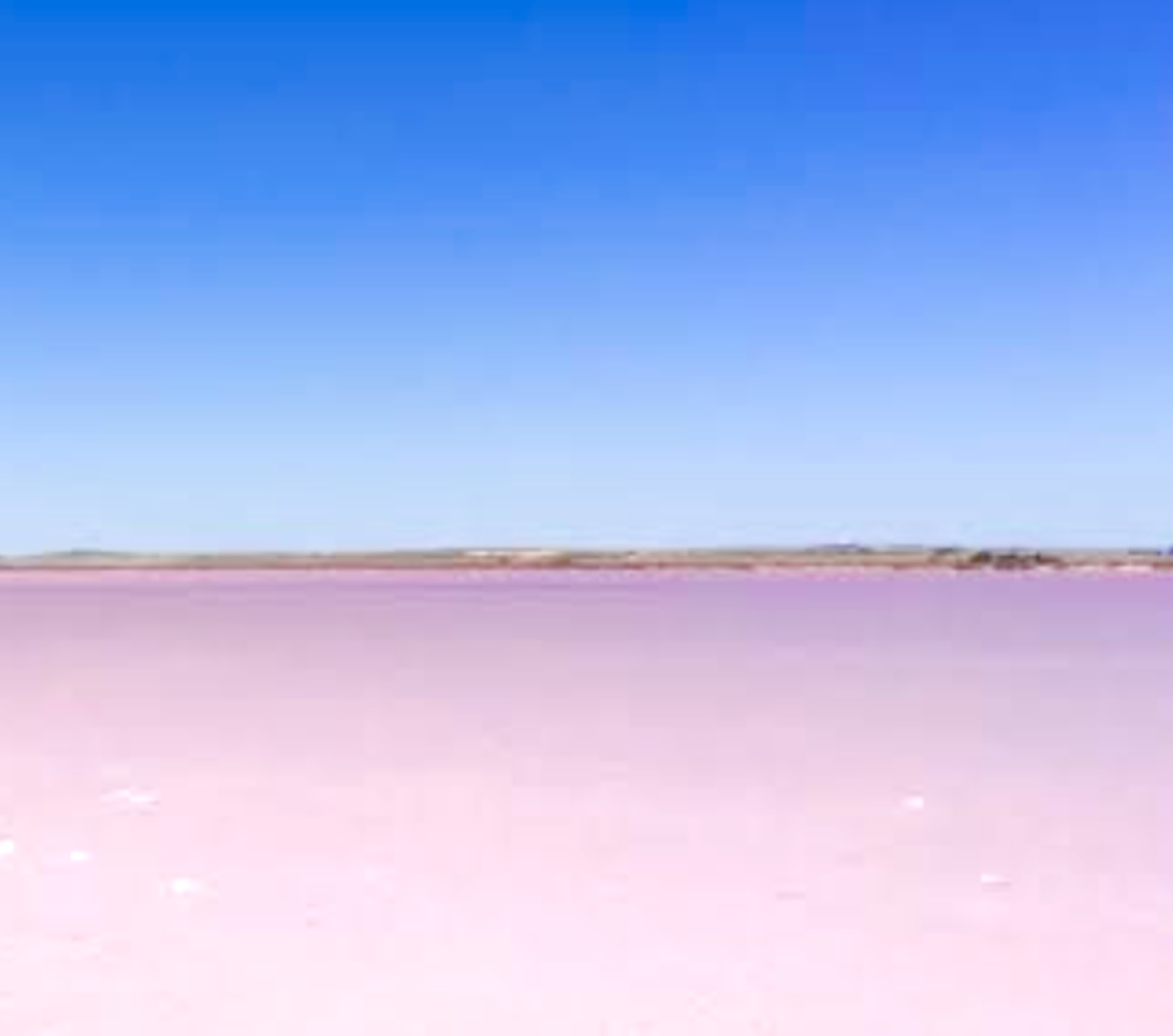 Jake Robinson tweet media