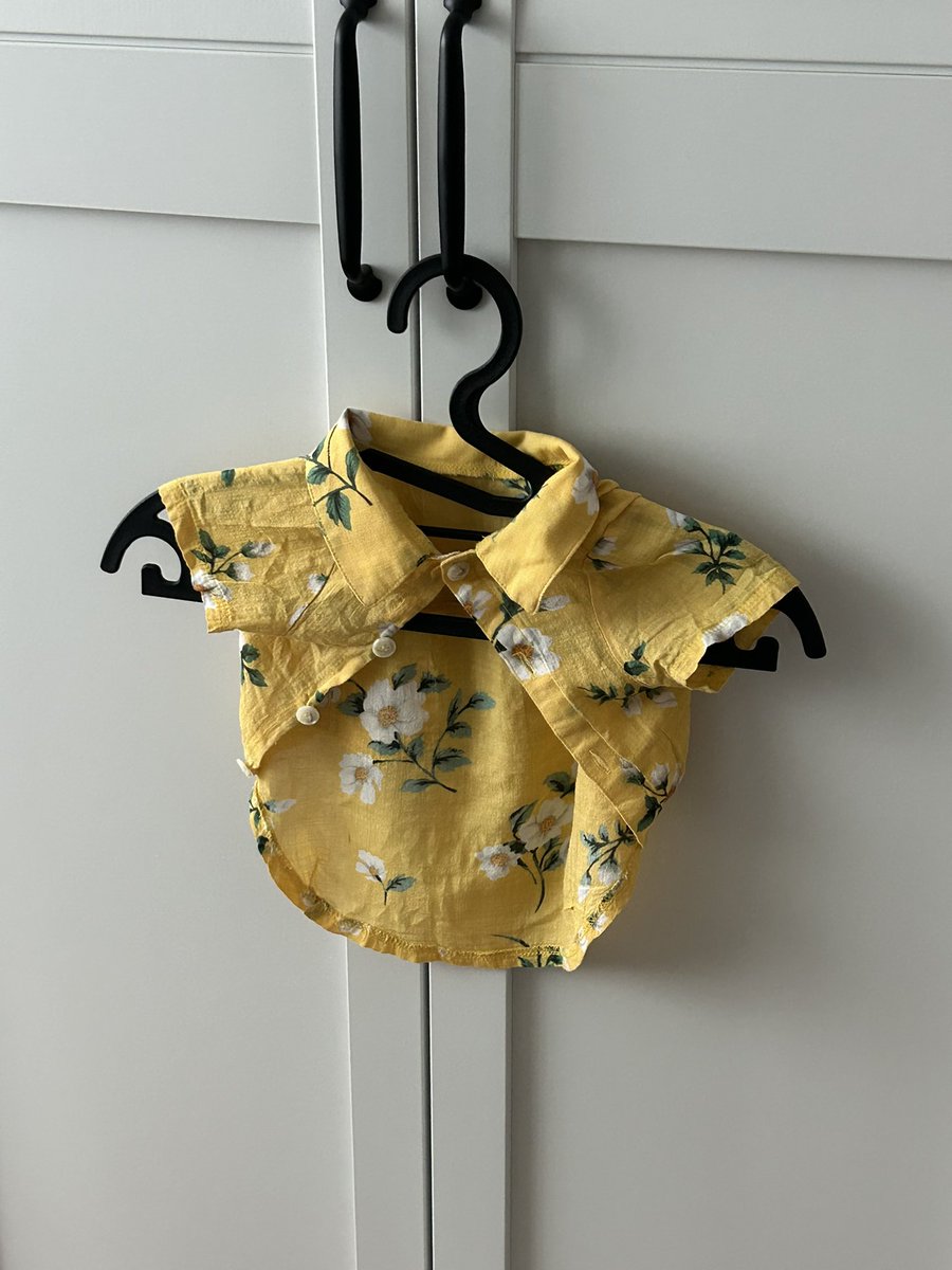 사람 옷걸이에 겨우 걸린 기엽고 하찮은 강아지 하와이안셔츠 보고가실분