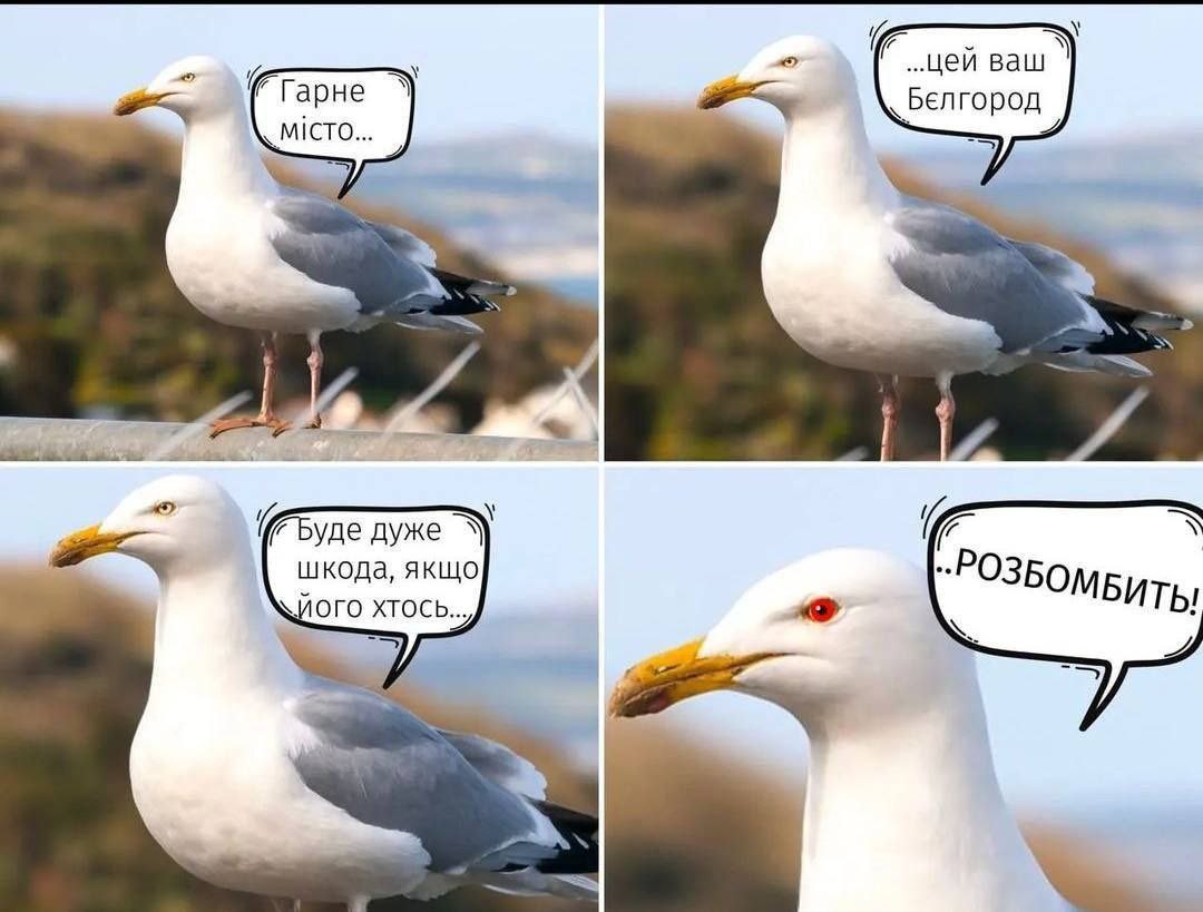 Йдемо бомбити Білгород 🙂

#меми #гумор #мем #приколи #сміх #україна #смішно #memes #прикол #ржака #lol #humor #жарт #ржач #лол #жарти #Ukraine #хаха #весело #настрій #ржачно #лайки #ukr #ua #мемчики